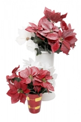 193 Novogodišnje cveće